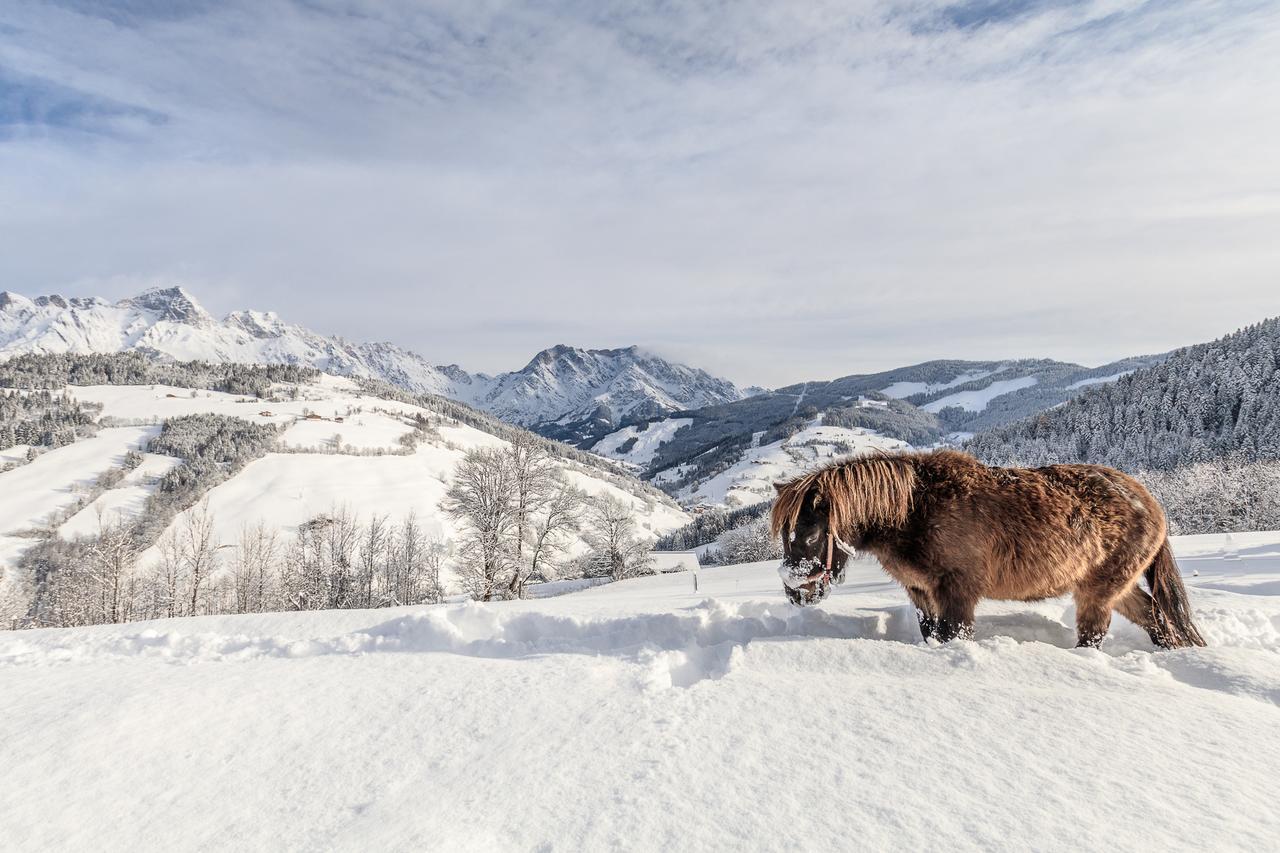 Вілла Christernhof Марія-Альм-ам-Штайнернен-Мер Екстер'єр фото